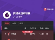 开云体育登录-切尔西豪取连胜，积分榜上升至前列