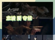 开云体育官网-阿尔梅里亚连续取胜，逐渐走出低谷的简单介绍