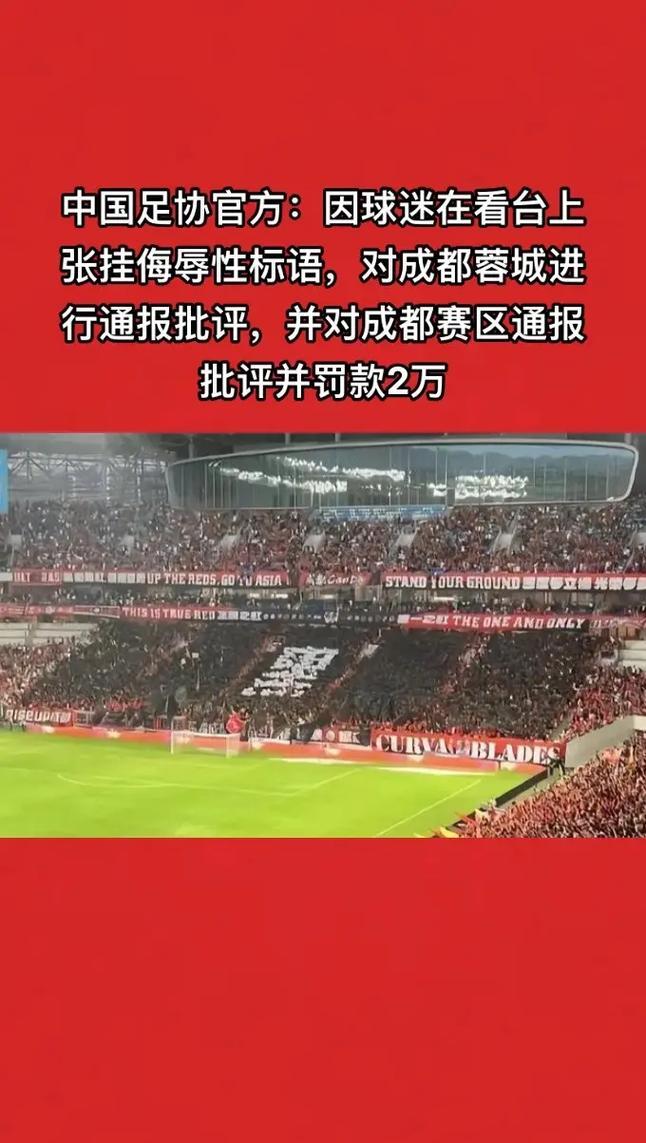成都球迷把事闹大了，河南队发文声讨，成都蓉城表态，必须严惩！的简单介绍