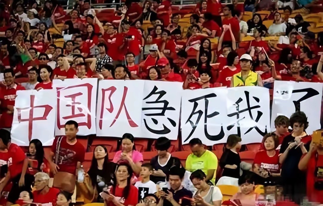 观看亚冠比赛时殴打中国球迷致其重伤骨折，日本的简单介绍