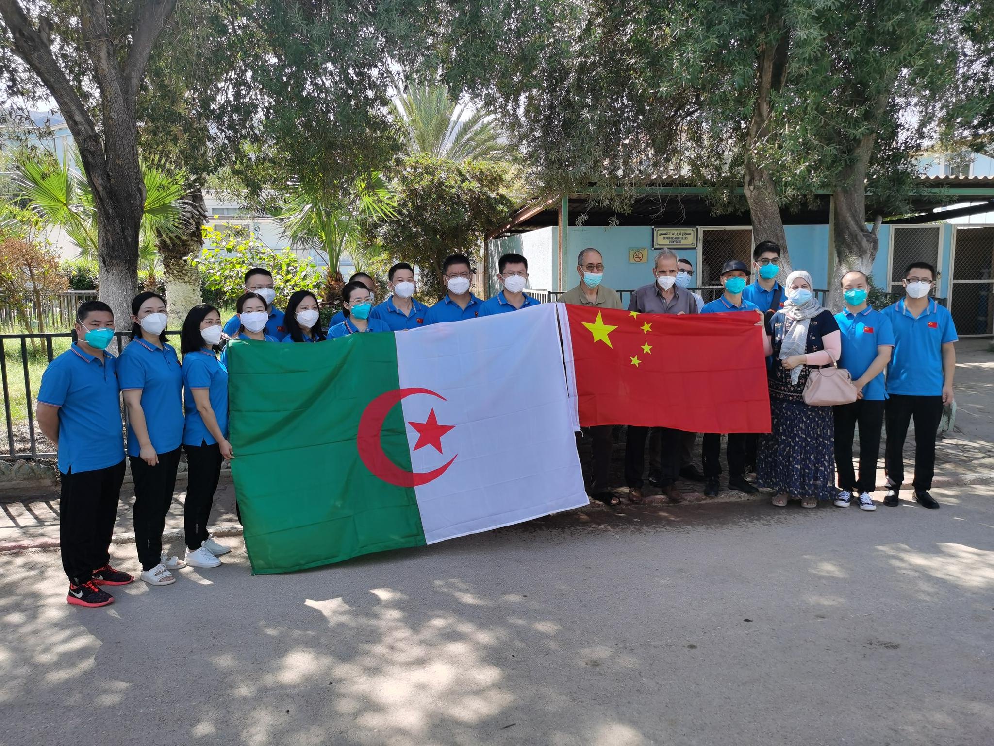 关于战无不胜：阿尔及利亚队势不可挡的信息