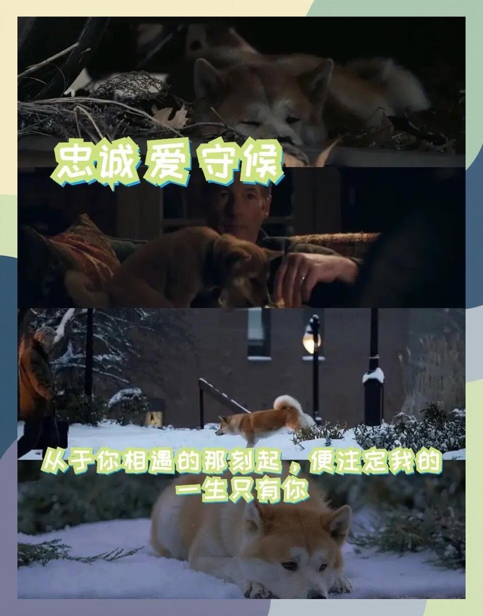 阿尔梅里亚连续取胜，逐渐走出低谷的简单介绍
